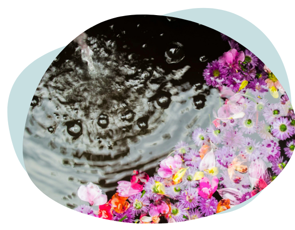 Eau et fleurs violettes